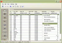 Essential NetTools 4.4.300 screenshot. Click to enlarge!