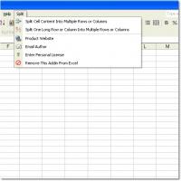 Excel Split Cells Into Multiple Rows or Columns Software 7.0 screenshot. Click to enlarge!
