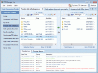 FTP Manager Lite 2.2 screenshot. Click to enlarge!