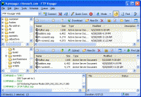 FTP Voyager Software Development Kit 15.2.0.9 screenshot. Click to enlarge!