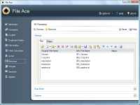 File Ace 2.05 screenshot. Click to enlarge!