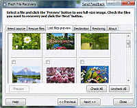 Flash File Recovery 6.7 screenshot. Click to enlarge!