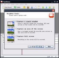 FlashDemo Screen Recorder 2.28 screenshot. Click to enlarge!