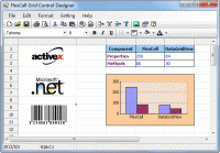 FlexCell Grid Control for .NET 3.0 3.4.4.0 screenshot. Click to enlarge!