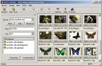 FotoVac 1.0 screenshot. Click to enlarge!
