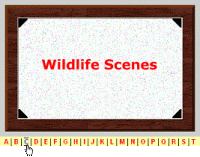 Frame-It 1.0 screenshot. Click to enlarge!