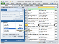 Fuzzy Duplicate Finder for Excel 4.2.12.264 screenshot. Click to enlarge!