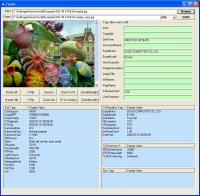 GOGO Exif Image Viewer ActiveX OCX 2.36 screenshot. Click to enlarge!