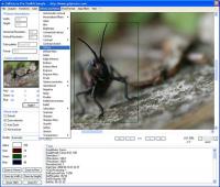 GdPicture Pro Imaging SDK - Site License 5.12.0 screenshot. Click to enlarge!