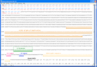 Gene Construction Kit 3.0.4 screenshot. Click to enlarge!