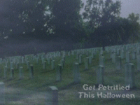 Get Petrified Halloween Wallpaper 2.0 screenshot. Click to enlarge!