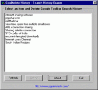 GooDelete History 1.0 screenshot. Click to enlarge!
