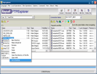 HS FTPExplorer 4.13 screenshot. Click to enlarge!