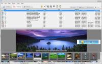 IconCool Free Graphics Converter 3.20 Build 131101 screenshot. Click to enlarge!