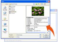 Image Open Save Dialog 8.2.0 screenshot. Click to enlarge!