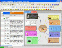 InfoRapid KnowledgeMap 2013d screenshot. Click to enlarge!