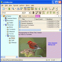 InfoWonder 2.0.4010 screenshot. Click to enlarge!