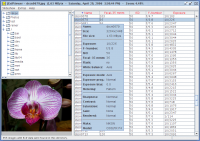 JExifViewer 1.8 screenshot. Click to enlarge!
