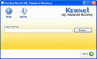Kernel SQL Password Recovery 4.02 screenshot. Click to enlarge!