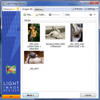 Light Image Resizer 5.0.6.0 screenshot. Click to enlarge!