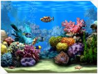 Living Marine Aquarium 2.0 screenshot. Click to enlarge!