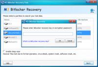 M3 Bitlocker Recovery 5.6.8 screenshot. Click to enlarge!