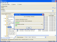 MP3 Sorter 1.2.0.68 screenshot. Click to enlarge!