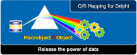 Macrobject DObject O/R Mapping Suite 6.23.929 screenshot. Click to enlarge!