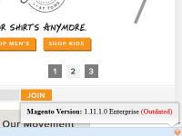 Magento Version Check for Firefox 1.0.4 screenshot. Click to enlarge!