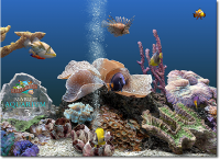 Marine Aquarium 3 3.0 screenshot. Click to enlarge!