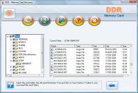 Memory card Data Recovery Software 3.0.1.5 screenshot. Click to enlarge!