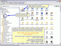 Mouse Hunter 1.6.9.145 screenshot. Click to enlarge!