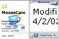 MouseCam 1.0 screenshot. Click to enlarge!