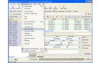 Mp3 Tag Assistant Professional 2.9.4.335 screenshot. Click to enlarge!