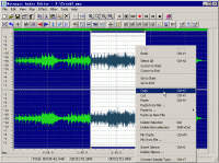 Naturpic Audio Editor 2.0 screenshot. Click to enlarge!