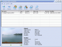 Naturpic Video Converter 6.0 screenshot. Click to enlarge!