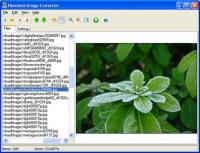 Neomesh Image Converter 2.5 screenshot. Click to enlarge!