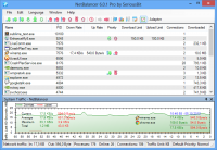 NetBalancer Pro 5.2.1 screenshot. Click to enlarge!