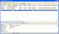 Network Inventory Expert 3.6 screenshot. Click to enlarge!