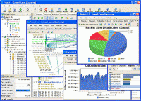 Network Troubleshooting Analyzer 6.3 screenshot. Click to enlarge!