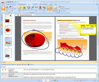 Nitro PDF Professional 10.5.1.17 screenshot. Click to enlarge!