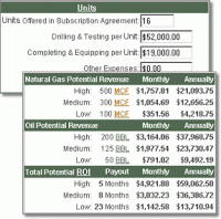 Oil & Gas Investment Calculator 2.2 screenshot. Click to enlarge!