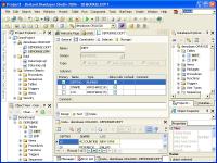 OraDeveloper Tools for Delphi 2.55 screenshot. Click to enlarge!