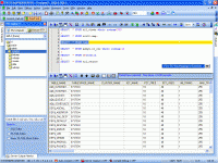 Oraspeed SQL Editor 3.8.0 screenshot. Click to enlarge!