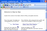 PDF Maker Pilot 2.3.1046 screenshot. Click to enlarge!