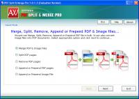 PDF Page Merger Splitter Cutter Pro 1.0.1.3 screenshot. Click to enlarge!