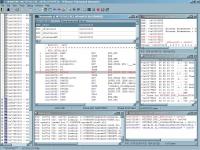 PEBrowse Professional Interactive 8.0 screenshot. Click to enlarge!