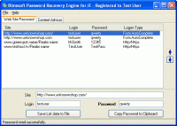 Password Recovery Engine for Internet Explorer 2.0 screenshot. Click to enlarge!