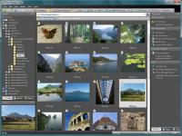 Photo Manager Professional 2010 2.0.11 screenshot. Click to enlarge!