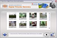 Photo Recovery Software 3.0.1.5 screenshot. Click to enlarge!